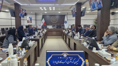 خراسان جنوبی در آستانه تبدیل شدن به قطب گردشگری سلامت شرق کشور / اخبار خراسان جنوبی - اخبار استانها