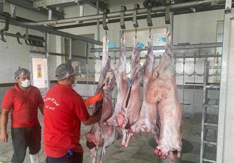 زنجیره سلامت گوشت قرمز در بوشهر زیر ذرهبین دامپزشکی / اخبار بوشهر - اخبار استانها