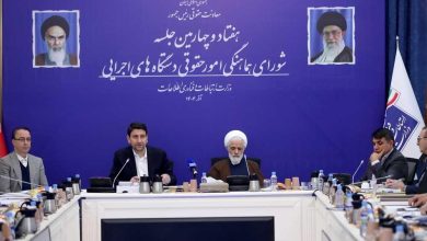 هوش مصنوعی در خدمت تحول حوزههای حقوقی / هوش مصنوعی , حقوق , فناوری اطلاعات , تنظیمگری , سیدستار هاشمی