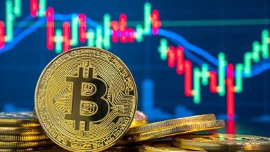 بورس تهران متولی راهاندازی صندوقهای سرمایهگذاری رمزارزی شد / بورس تهران , صندوق سرمایهگذاری , رمزارز , بازار سرمایه , ارز دیجیتال