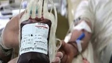 میزان مشارکت بانوان در اهدای خون به کمتر از 5 درصد رسید / اخبار یزد - اخبار استانها