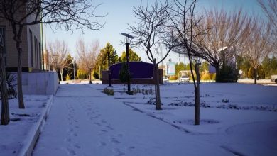 دانههای برف چهره کویری خراسان جنوبی را سفیدپوش کرد / اخبار خراسان جنوبی - اخبار استانها