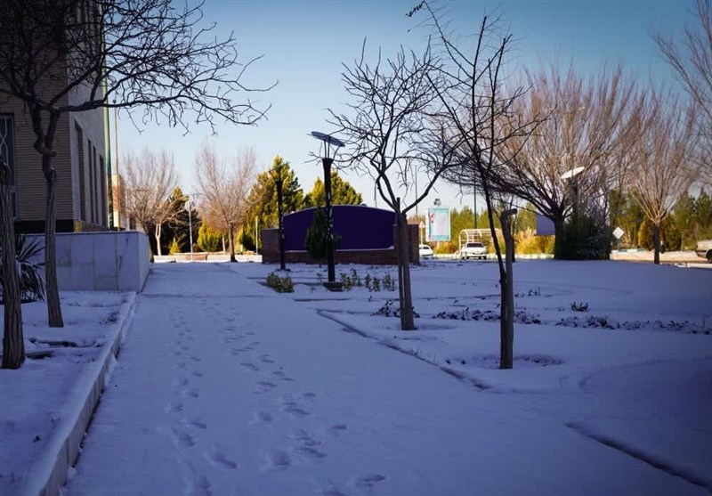 دانههای برف چهره کویری خراسان جنوبی را سفیدپوش کرد / اخبار خراسان جنوبی - اخبار استانها