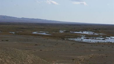 وضعیت نگرانکننده تالاب بندعلیخان؛ 2 مصوبه رسمی دولت و استان هنوز وارد مرحله اجرا نشده است / اخبار استان تهران - اخبار استانها