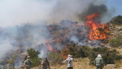 کاهش 58 درصدی آتشسوزی در مناطق تحت حفاظت محیط زیست کرمانشاه / اخبار کرمانشاه - اخبار استانها