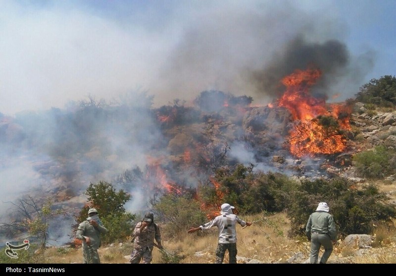 کاهش 58 درصدی آتشسوزی در مناطق تحت حفاظت محیط زیست کرمانشاه / اخبار کرمانشاه - اخبار استانها