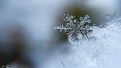 هوای سرد و یخبندان تا پایان هفته در استان ماندگار است / اخبار زنجان - اخبار استانها