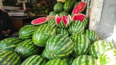 قصهی یلدایی که از سفره به ویترین پناه برد/ بحران قیمتگذاری در شب یلدا / اخبار زنجان - اخبار استانها