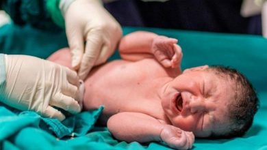 ثبت بیش از 59 هزار ولادت در خراسان رضوی/کاهش 7 درصدی ولادت/ اخبار خراسان رضوی - اخبار استانها