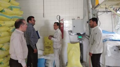 توزیع 46 هزار تن آرد روستایی در چهارمحال و بختیاری / اخبار چهارمحال و بختیاری - اخبار استانها