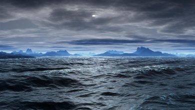 صدور هشدار هواشناسی سطح نارنجی در سواحل استان بوشهر تا 28 آذر / اخبار بوشهر - اخبار استانها