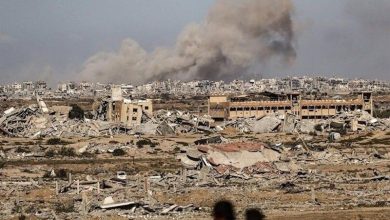 نقض ۷۳۸ باره آتشبس توسط اسرائیل؛ شهادت صدها فلسطینی در غزه / نقض آتشبس , غزه , رژیم صهیونیستی , شهادت فلسطینیان , محمولههای انسانی