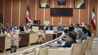 سهم مشاغل خانگی ایوان بیش از سه برابر شد / اخبار ایلام - اخبار استانها