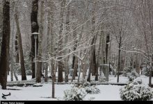 سرمای شدید در راه اصفهان؛ دما تا 12 درجه کاهش مییابد / اخبار اصفهان - اخبار استانها