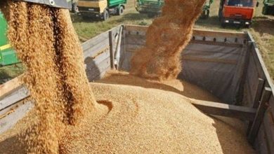 نامه به نوریقزلجه درباره فوریت اجرای مصوبات تأمین و توزیع نهادههای دامی / اخبار سیاسی روز , اخبار مجلس