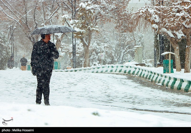 بالاخره تبریز سفیدپوش شد؛ پایان چشمانتظاری مردم با نخستین برف زمستانی / اخبار آذربایجان شرقی - اخبار استانها