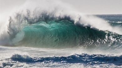 خلیج فارس و سواحل استان بوشهر تا پایان وقت امروز مواج خواهد بود / اخبار بوشهر - اخبار استانها