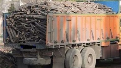 کشف بیش از 1.3 تن چوب قاچاق و زغال قاچاق در آران و بیدگل / اخبار کاشان - اخبار استانها