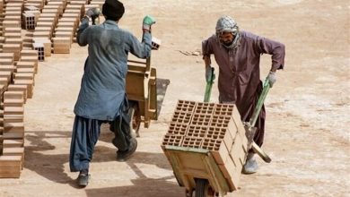 رونمایی از سامانه گزارشگیری محل سکونت و اشتغال اتباع غیرمجاز در کرمان / اخبار کرمان - اخبار استانها