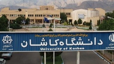 گفتوگو |7 پژوهشگر برتر جهان از دانشگاه کاشان معرفی شدند/ اخبار کاشان - اخبار استانها