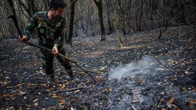 آتشسوزیهای محدود در جنگلهای شرق گلستان خاموش شد / اخبار گلستان - اخبار استانها