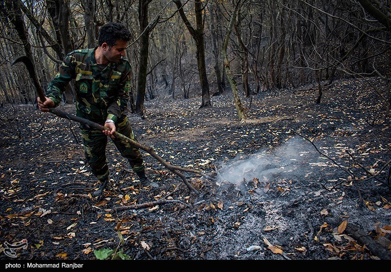 آتشسوزیهای محدود در جنگلهای شرق گلستان خاموش شد / اخبار گلستان - اخبار استانها