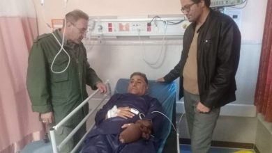 مجروح شدن محیطبان مهولاتی در درگیری با شکارچیان غیرمجاز / اخبار خراسان رضوی - اخبار استانها