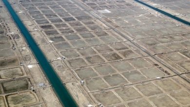 شهرک مولد شیلاتی دلیران بوشهر الگو تحقق اقتصاد دریامحور / اخبار بوشهر - اخبار استانها