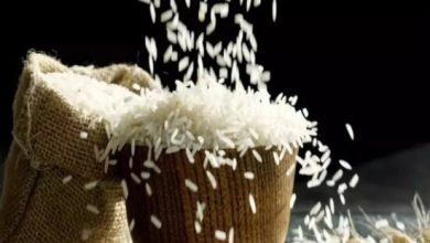 ذخایر برنج هند به رکورد ۵۷.۵۷ میلیون تن رسید / هند , برنج , صادرات , ذخایر , اقتصاد جهانی