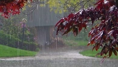 نفوذ پنج میلیون مترمکعبی باران و حیات دوباره رگهای خاک در کیش / اخبار جزایر خلیج فارس - اخبار استانها