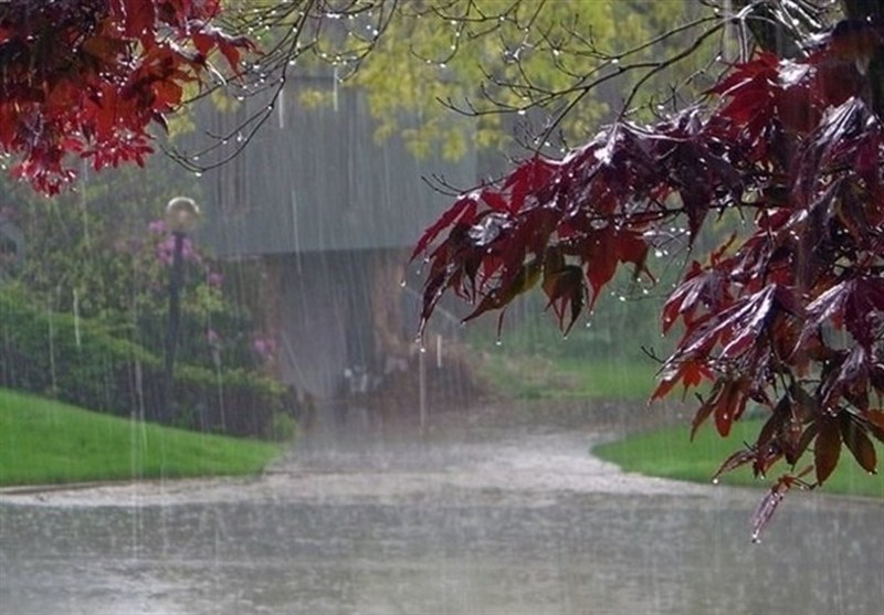 نفوذ پنج میلیون مترمکعبی باران و حیات دوباره رگهای خاک در کیش / اخبار جزایر خلیج فارس - اخبار استانها