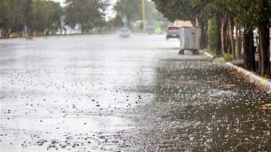 مدیریت بحران فارس؛ آمادهباش کامل دستگاهها در وضعیت قرمز جوی / اخبار فارس - اخبار استانها