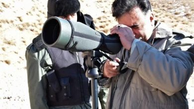 سرشماری زمستانه پستانداران با 10 تیم تخصصی در اردبیل / اخبار اردبیل - اخبار استانها