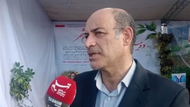 فعالیت 30 هزار هنرمند در 60 رشته صنایع دستی در اردبیل/ اخبار اردبیل - اخبار استانها