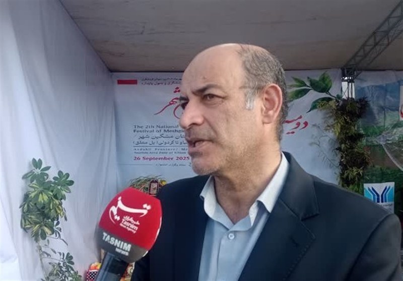 فعالیت 30 هزار هنرمند در 60 رشته صنایع دستی در اردبیل/ اخبار اردبیل - اخبار استانها