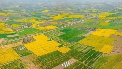 تکمیل طرحهای اولویتدار کشاورزی لرستان تا 1405 / اخبار لرستان - اخبار استانها