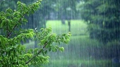 آزمون باران در خلیج فارس؛ جزایر هرمزگان با بارشهای ممتد و آمادهباش تمامعیار / اخبار جزایر خلیج فارس - اخبار استانها