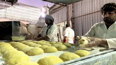 اصلاح زنجیره تأمین آرد در بندرعباس کلید خورد / اخبار هرمزگان - اخبار استانها