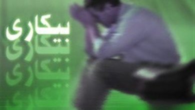 رتبه 5 اردبیل در کاهش نرخ بیکاری / اخبار اردبیل - اخبار استانها