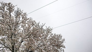 هشدار یخبندان در اصفهان؛ دمای هوا بین 5 تا 8 درجه کاهش مییابد / اخبار اصفهان - اخبار استانها