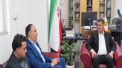 تأمین 2 مگاوات برق برای پروژه پارک آبی شیراز در دست بررسی است / اخبار فارس - اخبار استانها