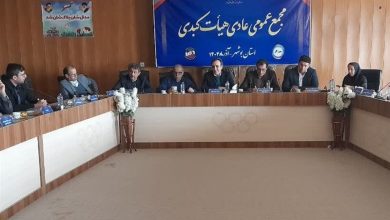 برگزاری نخستین مرحله مسابقات کبدی روستاییان کشور / اخبار بوشهر - اخبار استانها