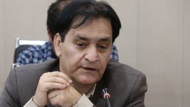 جهش صنایع دریایی در سواحل استان بوشهر بر اساس سیاستهای اقتصاد دریا محور / اخبار بوشهر - اخبار استانها