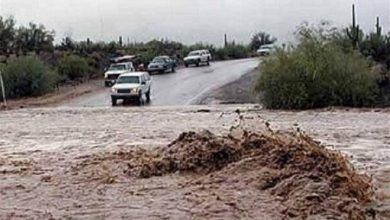 محدودیت تردد اتوبوسها از استان بوشهر به مقصد هرمزگان به دلیل شرایط جوی نامساعد / اخبار بوشهر - اخبار استانها