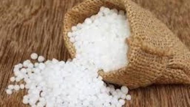 توزیع 29 هزار تن کود اوره در خراسان شمالی؛ گامی مؤثر برای افزایش تولید و امنیت غذایی / اخبار خراسان شمالی - اخبار استانها