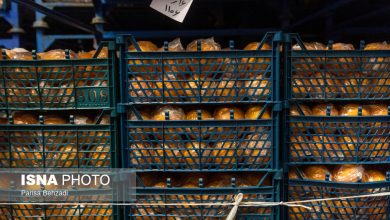 ذخیرهسازی میوه شب عید دو برابر سال گذشته / میوه شب عید , ذخیرهسازی , کشاورزی , تعاون روستایی , تنظیم بازار