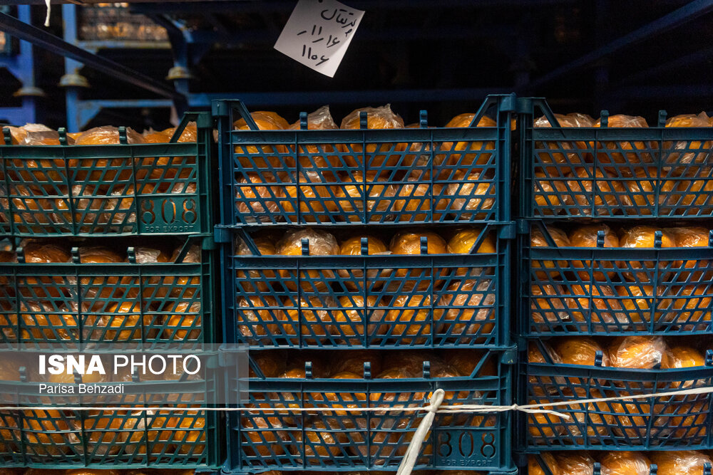 ذخیرهسازی میوه شب عید دو برابر سال گذشته / میوه شب عید , ذخیرهسازی , کشاورزی , تعاون روستایی , تنظیم بازار