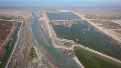 خلیج گرگان خشک شود، گردشگری دریایی گلستان از دست میرود/ اخبار گلستان - اخبار استانها