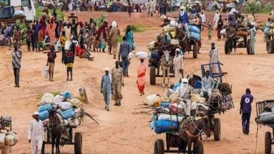 آوارگی بیش از ۲۶۰۰ نفر در کردفان سودان در پی درگیریهای شدید / سودان , کردفان , آوارگان , درگیریهای مسلحانه , سازمان بینالمللی مهاجرت