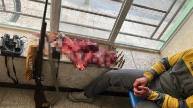 دستگیری 4 متخلف شکار غیرمجاز حیات وحش در چهارمحال و بختیاری / اخبار چهارمحال و بختیاری - اخبار استانها